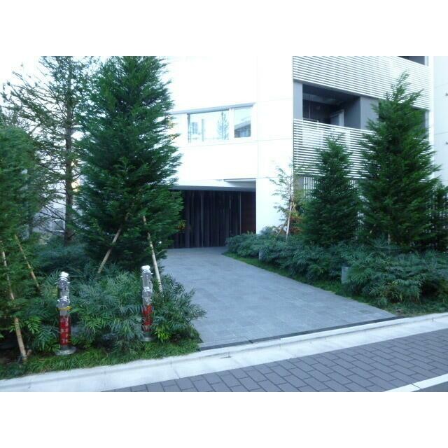 植栽：2015年1月撮影