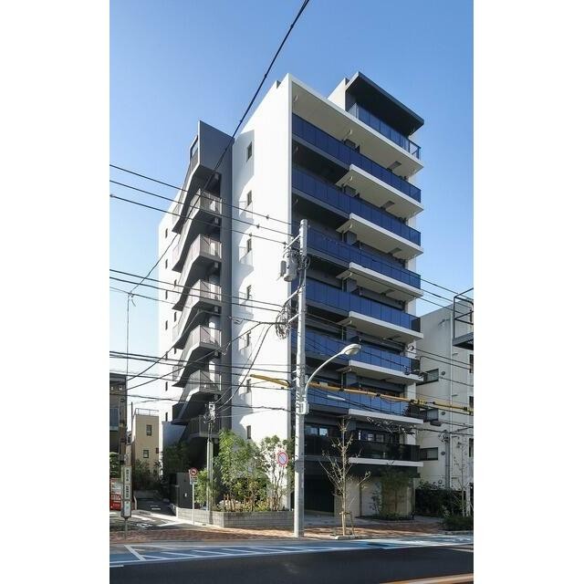 2025年11月撮影
