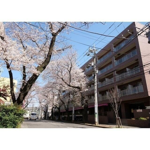 横浜市青葉区美しが丘２丁目 【賃貸居住】マンション