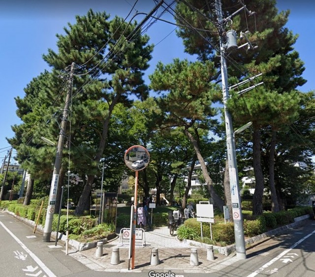 世田谷区立世田谷新町公園（桜新町）（260m）(周辺)