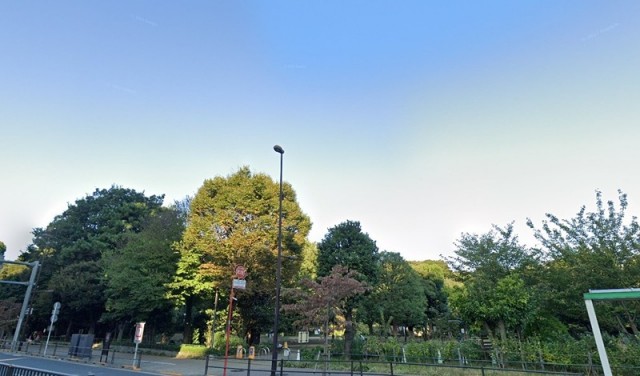 国立科学博物館附属 自然教育園（目黒）（1044m）(周辺)
