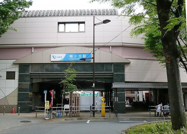 梅ヶ丘駅（193m）(周辺)