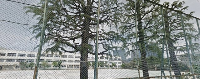 品川区立大崎中学校（大崎）（1891m）(周辺)