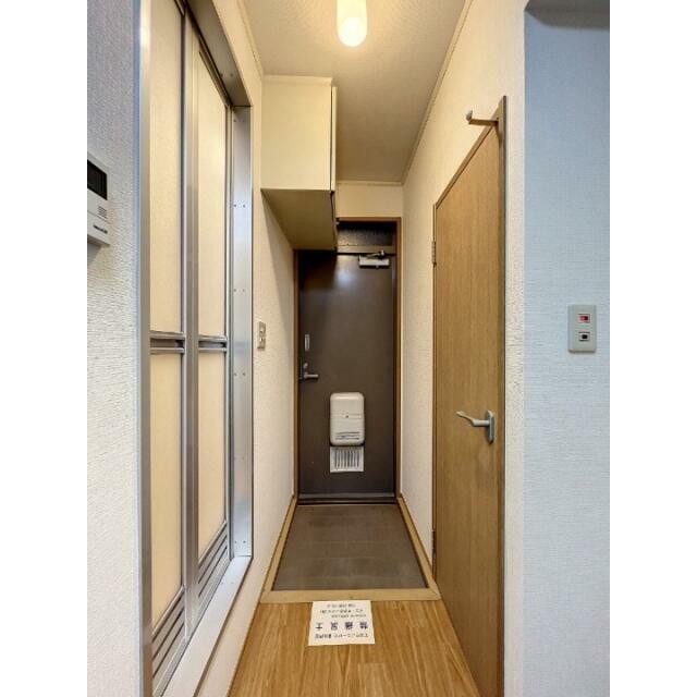 参考写真
