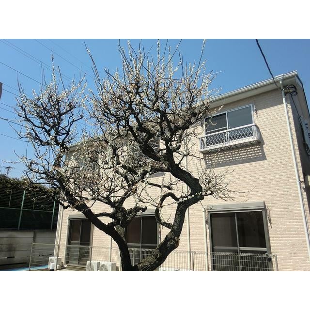 世田谷区若林２丁目 【賃貸居住】アパート