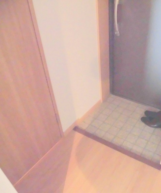 ※同仕様写真含む(玄関)