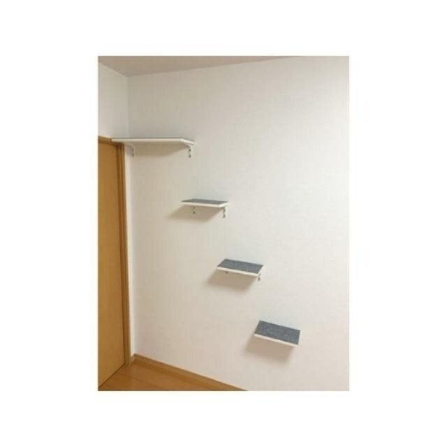 ※同仕様写真含む
