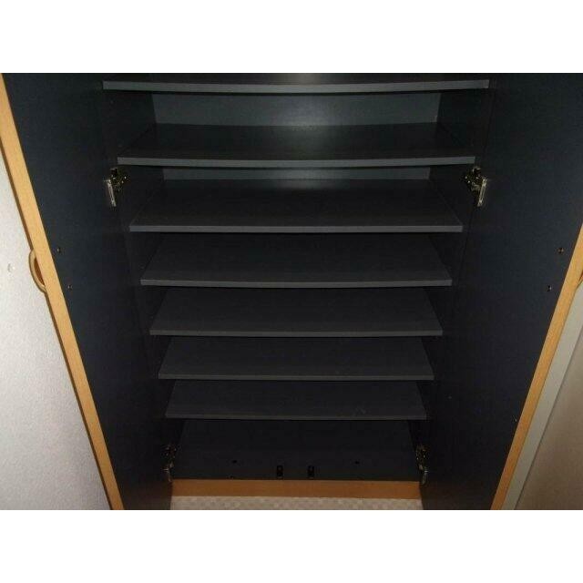 靴入