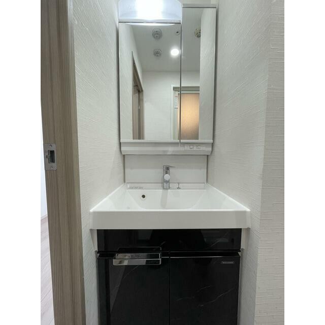 独立洗面化粧台(内装)