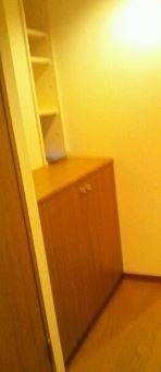 ※同仕様写真含む(玄関)