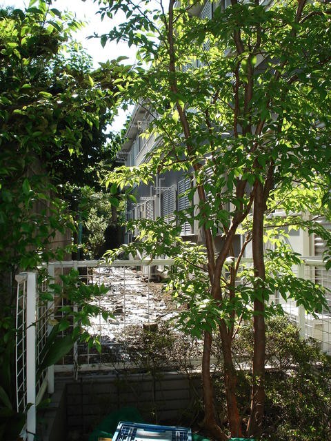 (その他建物画像)