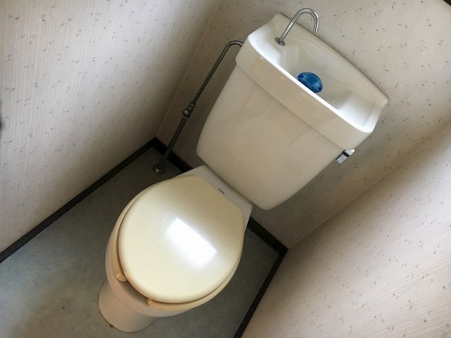 (内装)