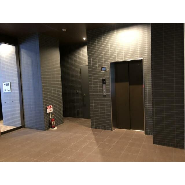 2018年1月撮影